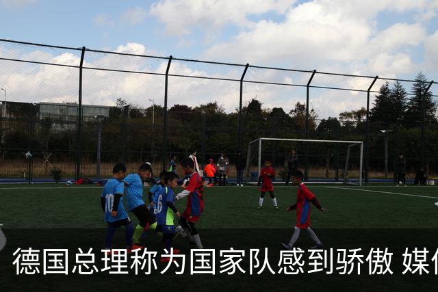 德国总理称为国家队感到骄傲 媒体人怒批：活在平行世界